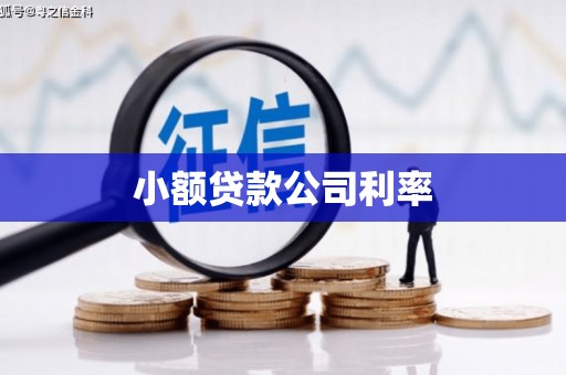 丰满小额贷款公司利率