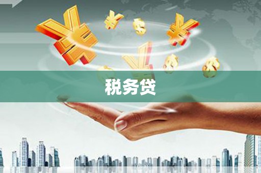 丰满税务贷
