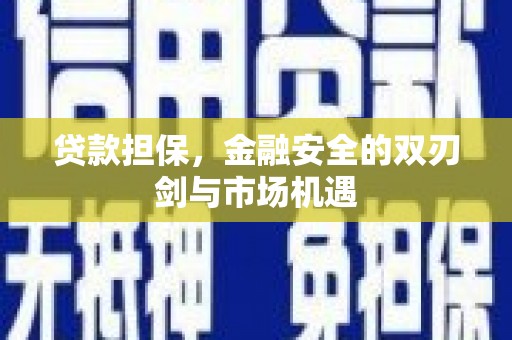 丰满贷款担保，金融安全的双刃剑与市场机遇