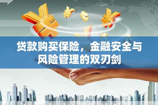 丰满贷款购买保险，金融安全与风险管理的双刃剑