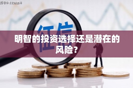 丰满明智的投资选择还是潜在的风险？