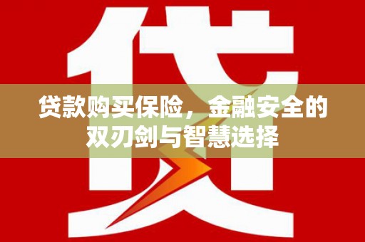 丰满贷款购买保险，金融安全的双刃剑与智慧选择
