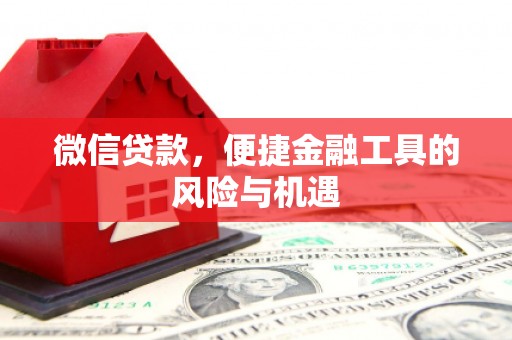 丰满微信贷款，便捷金融工具的风险与机遇