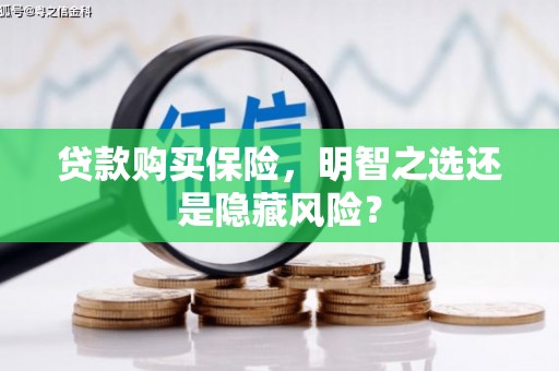 丰满贷款购买保险，明智之选还是隐藏风险？