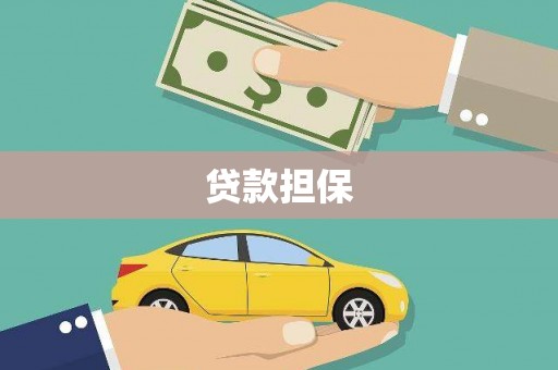 丰满贷款担保