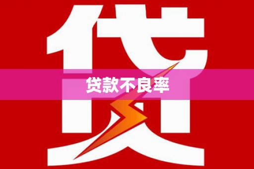 丰满贷款不良率