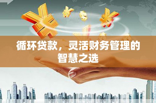丰满循环贷款，灵活财务管理的智慧之选