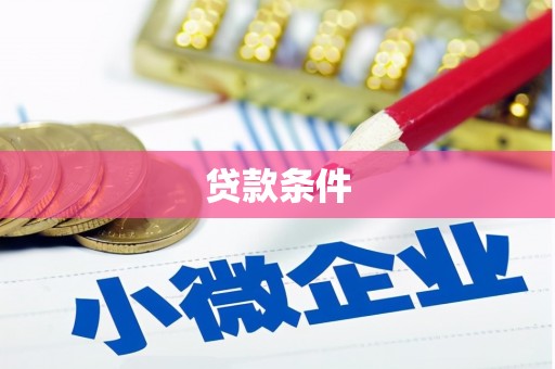 丰满贷款条件