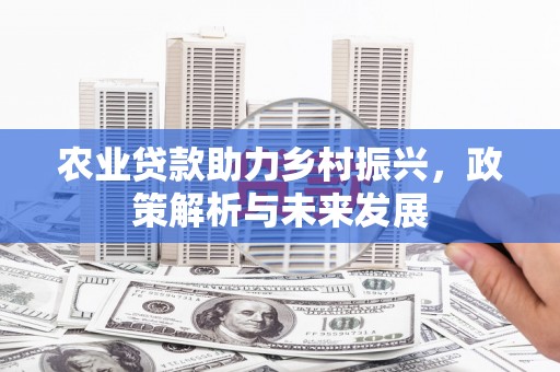 丰满农业贷款助力乡村振兴，政策解析与未来发展