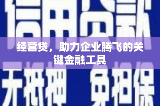 丰满经营贷，助力企业腾飞的关键金融工具