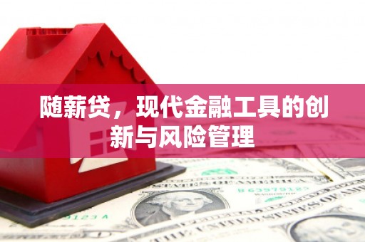 丰满随薪贷，现代金融工具的创新与风险管理