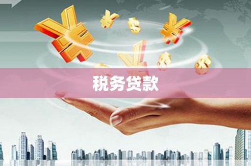 丰满税务贷款