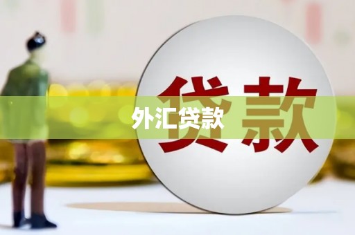 丰满外汇贷款