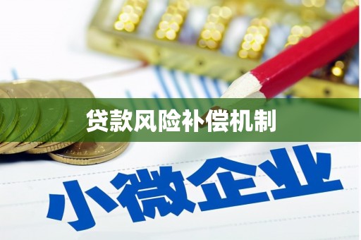丰满贷款风险补偿机制