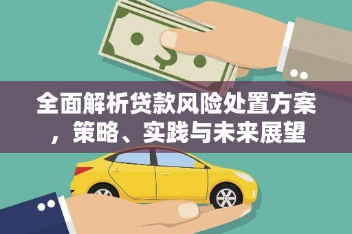 丰满全面解析贷款风险处置方案，策略、实践与未来展望