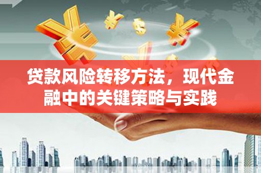 丰满贷款风险转移方法，现代金融中的关键策略与实践