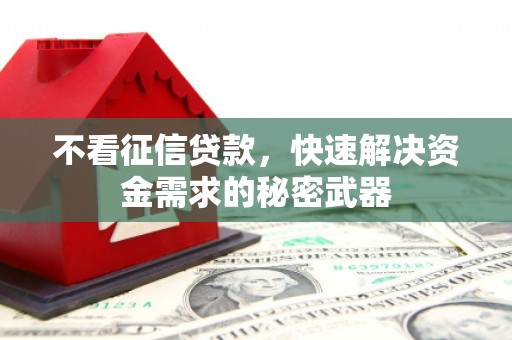 丰满不看征信贷款，快速解决资金需求的秘密武器