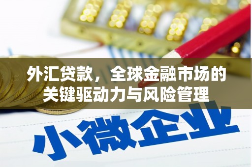 丰满外汇贷款，全球金融市场的关键驱动力与风险管理