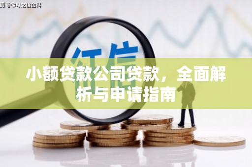 丰满小额贷款公司贷款，全面解析与申请指南