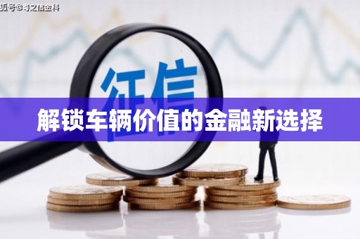 丰满解锁车辆价值的金融新选择
