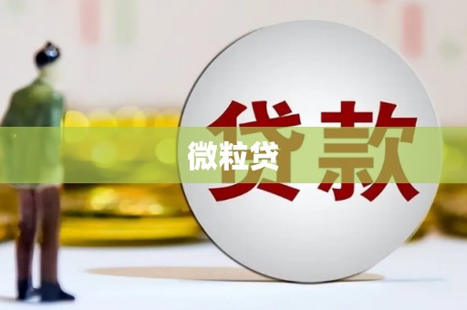 丰满微粒贷