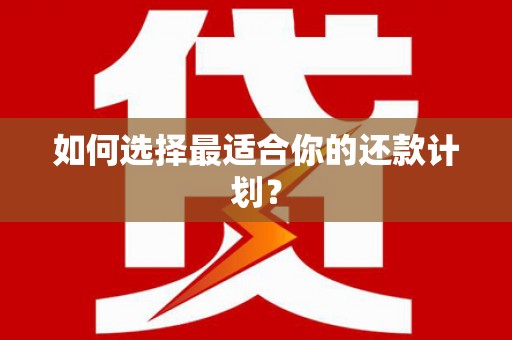 丰满如何选择最适合你的还款计划？