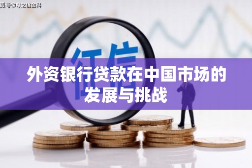 丰满外资银行贷款在中国市场的发展与挑战