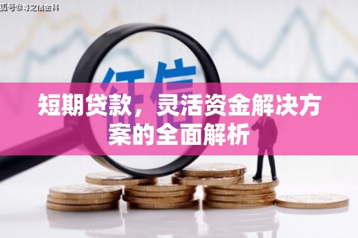 丰满短期贷款，灵活资金解决方案的全面解析