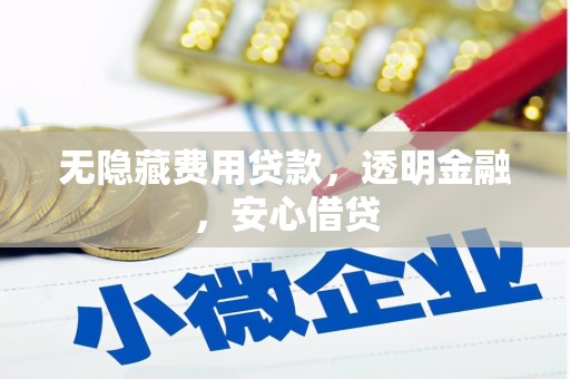 丰满无隐藏费用贷款，透明金融，安心借贷
