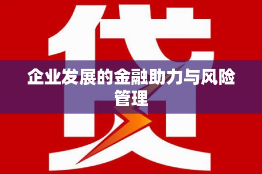 丰满企业发展的金融助力与风险管理