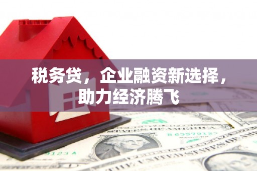 丰满税务贷，企业融资新选择，助力经济腾飞
