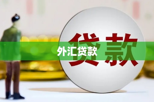 丰满外汇贷款