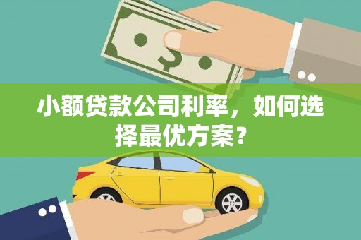 丰满小额贷款公司利率，如何选择最优方案？