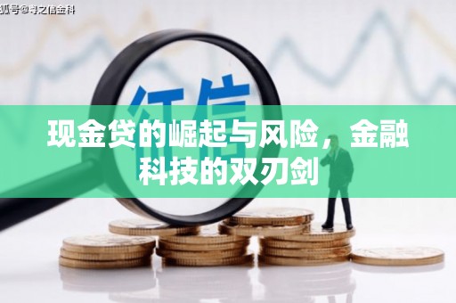 丰满现金贷的崛起与风险，金融科技的双刃剑
