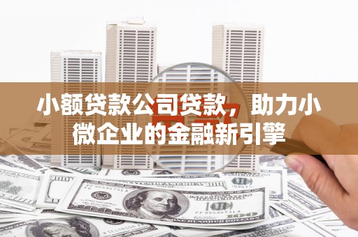 丰满小额贷款公司贷款，助力小微企业的金融新引擎