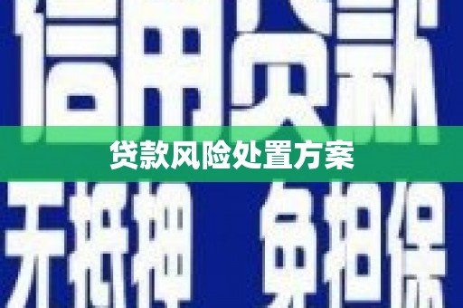 丰满贷款风险处置方案