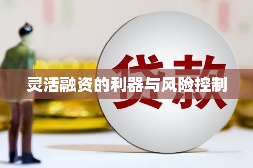 丰满灵活融资的利器与风险控制