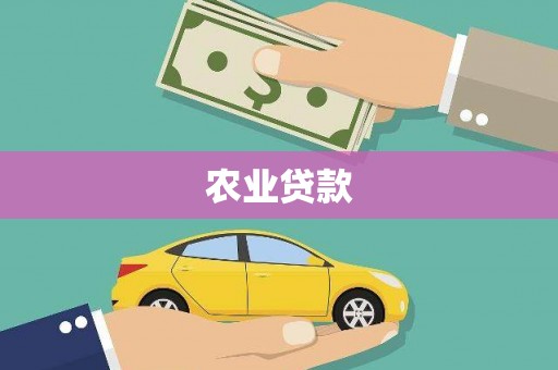 丰满农业贷款