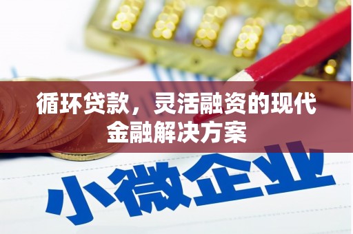 丰满循环贷款，灵活融资的现代金融解决方案