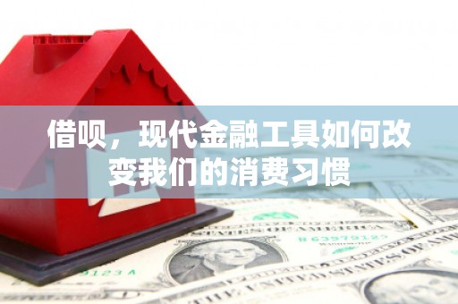 丰满借呗，现代金融工具如何改变我们的消费习惯