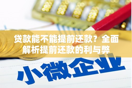 丰满贷款能不能提前还款？全面解析提前还款的利与弊