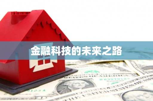 丰满金融科技的未来之路