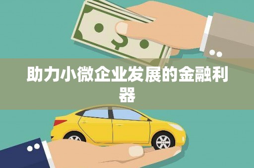 丰满助力小微企业发展的金融利器