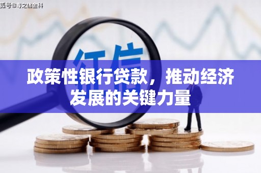 丰满政策性银行贷款，推动经济发展的关键力量