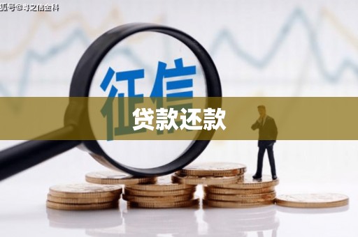 丰满贷款还款