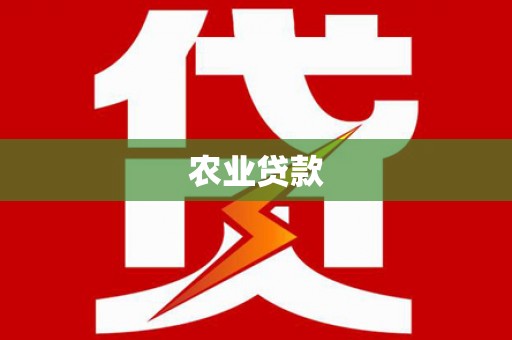 丰满农业贷款