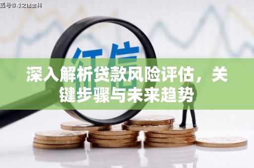 丰满深入解析贷款风险评估，关键步骤与未来趋势