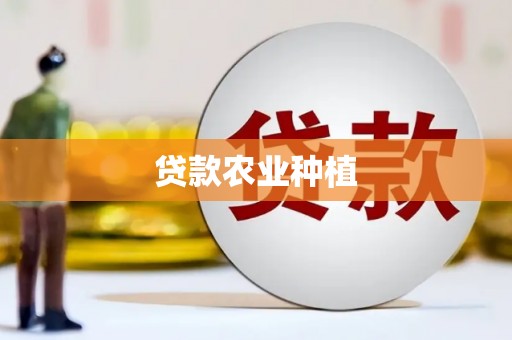 丰满贷款农业种植