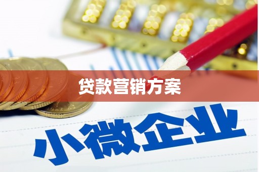 丰满贷款营销方案