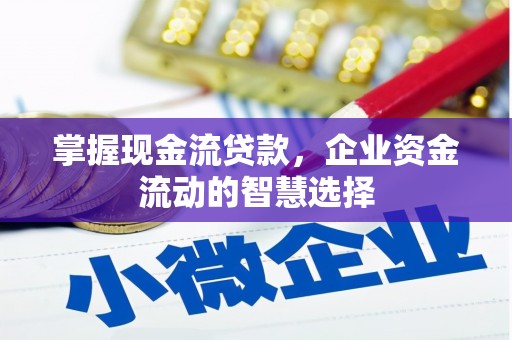 丰满掌握现金流贷款，企业资金流动的智慧选择